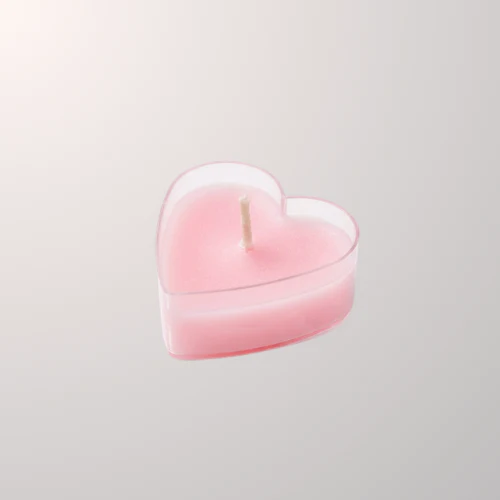 Toys & Accessories